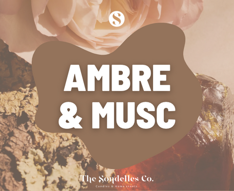 Wax Melts - Our "Scent Bar"™️